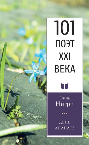 Обложка книги  «День ананаса»