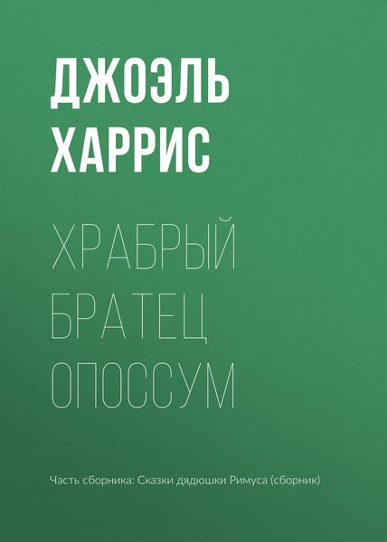 Обложка книги  «Храбрый Братец Опоссум»
