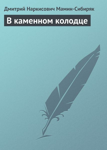 Обложка книги  «В каменном колодце»