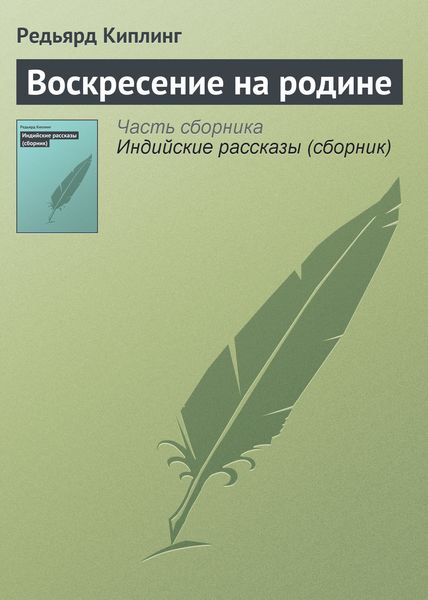 Обложка книги  «Воскресение на родине»