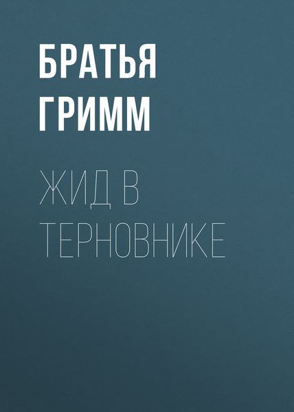 Обложка книги  «Жид в терновнике»