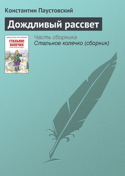 Обложка книги  «Дождливый рассвет»