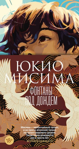 Обложка книги  «Фонтаны под дождем»