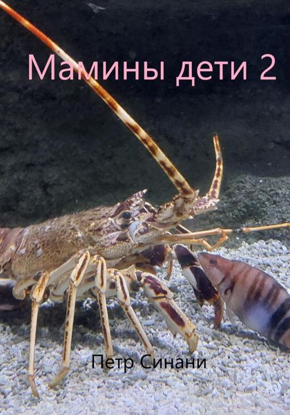 Обложка книги  «Мамины дети 2»