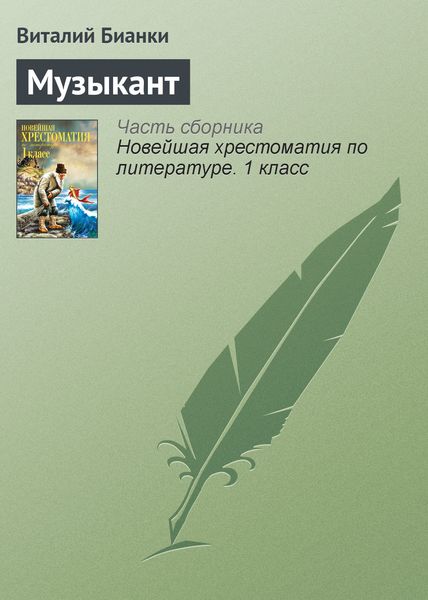Обложка книги  «Музыкант»