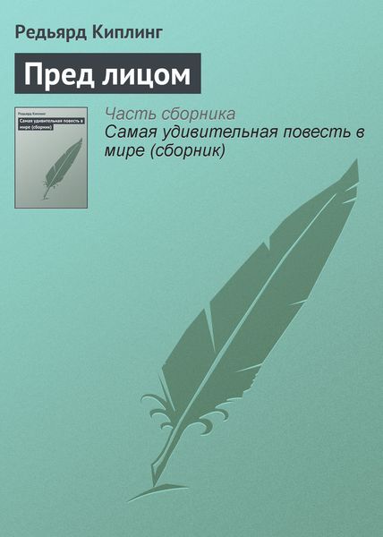 Обложка книги  «Пред лицом»