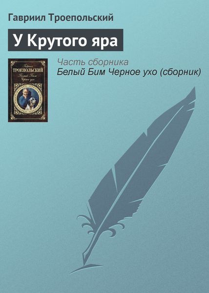 Обложка книги  «У Крутого яра»
