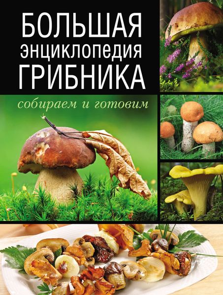 Обложка книги «Большая энциклопедия грибника. Собираем и готовим»