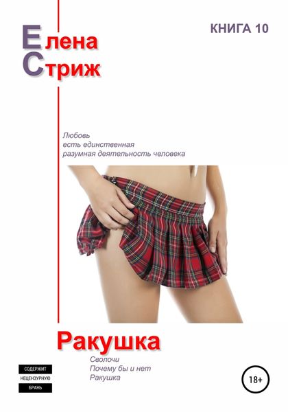 Обложка книги  «Ракушка»
