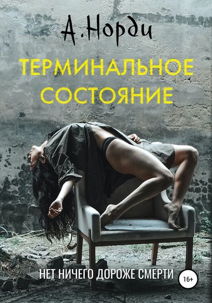 Обложка книги  «Терминальное состояние»