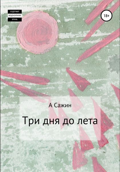Обложка книги  «Три дня до лета»