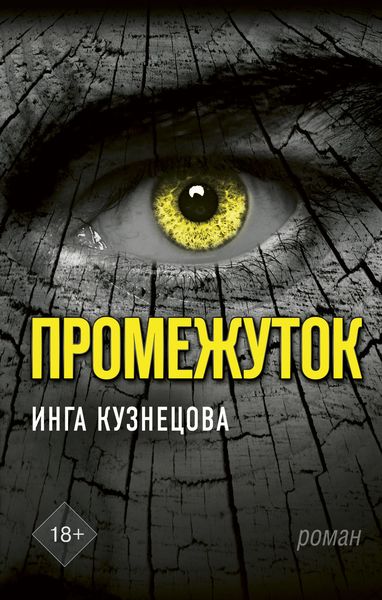 Обложка книги  «Промежуток»