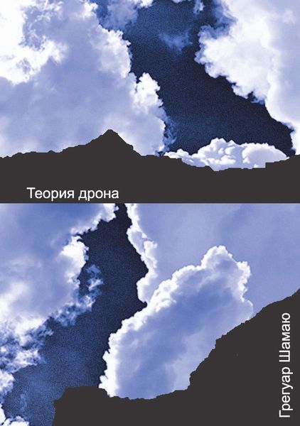 Обложка книги  «Теория дрона»