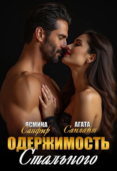 Обложка книги  «Одержимость стального»