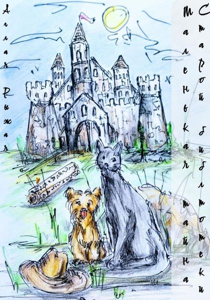 Обложка книги «Маленькая тайна старой библиотеки»