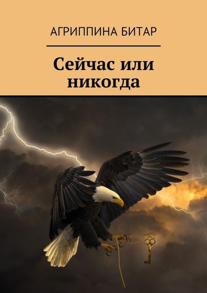 Обложка книги «Сейчас или никогда»