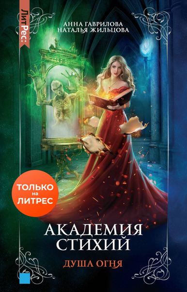 Обложка книги  «Академия Стихий. Душа Огня»
