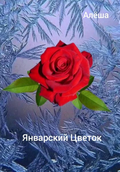 Обложка книги «Январский цветок»