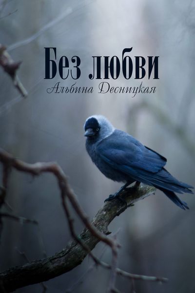 Обложка книги  «Без любви»