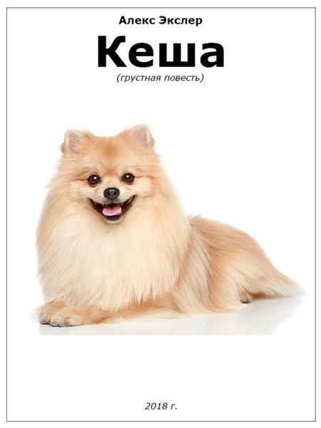 Обложка книги «Кеша»