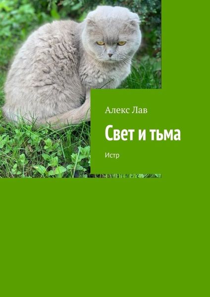 Обложка книги «Свет и тьма. Истр»