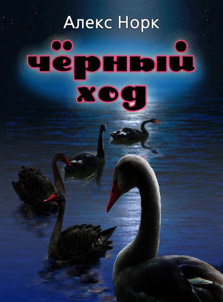 Обложка книги  «Черный ход»