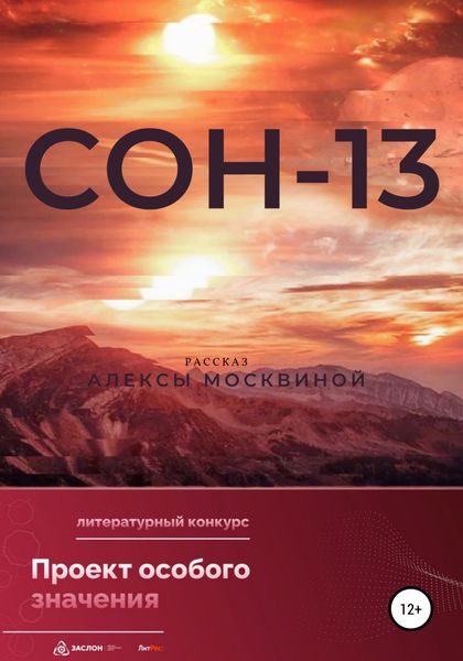 Обложка книги  «Сон-13»