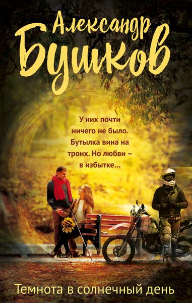 Обложка книги  «Темнота в солнечный день»