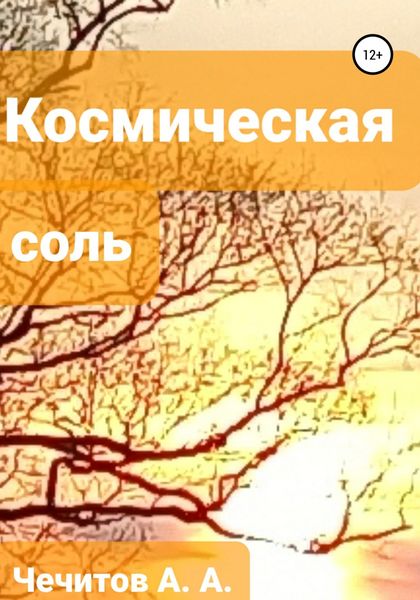 Обложка книги  «Космическая соль»