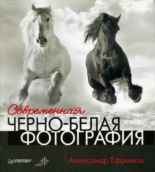 Обложка книги «Современная черно-белая фотография»