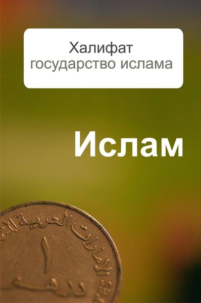 Обложка книги «Халифат – государство ислама»