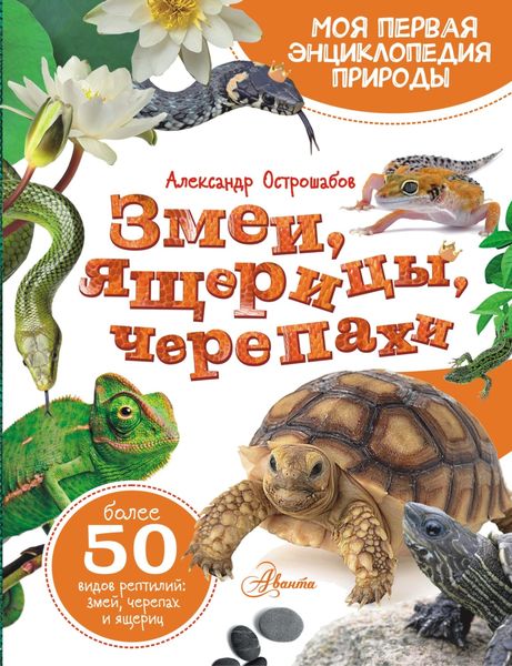 Обложка книги «Змеи, ящерицы, черепахи»