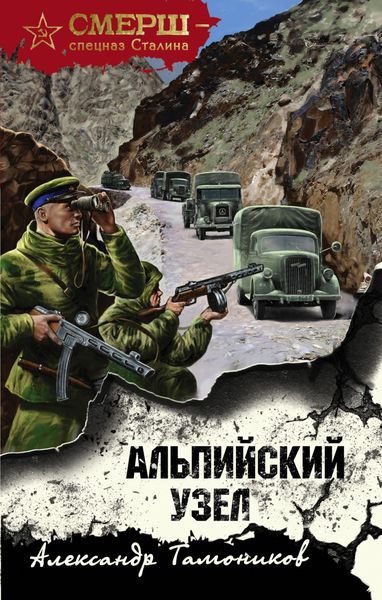 Обложка книги «Альпийский узел»