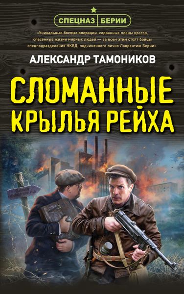 Обложка книги «Сломанные крылья рейха»