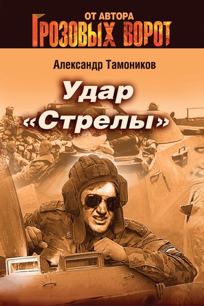 Обложка книги «Удар «Стрелы»»