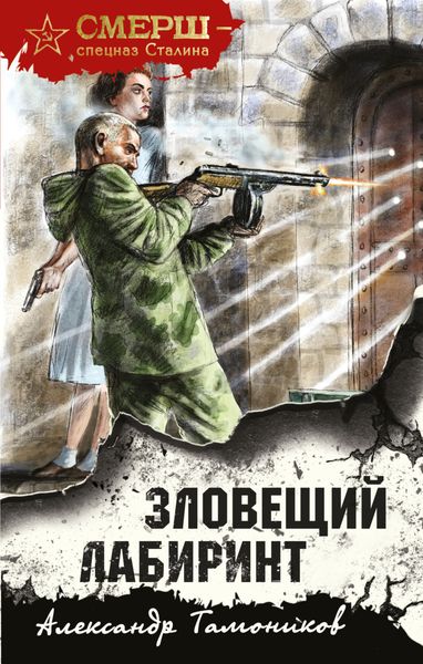 Обложка книги «Зловещий лабиринт»