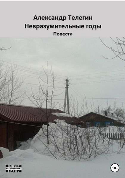 Обложка книги  «Невразумительные годы»