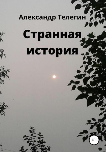 Обложка книги  «Странная история»