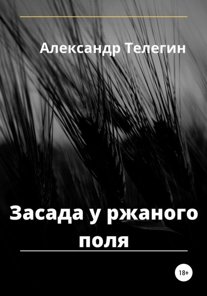 Обложка книги  «Засада у ржаного поля»