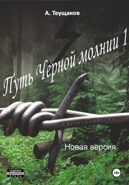 Обложка книги  «Путь Черной молнии 1. Новая версия»
