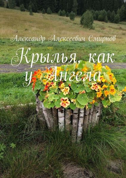 Обложка книги «Крылья, как у Ангела»