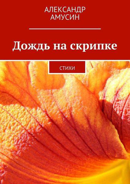 Обложка книги «Дождь на скрипке»