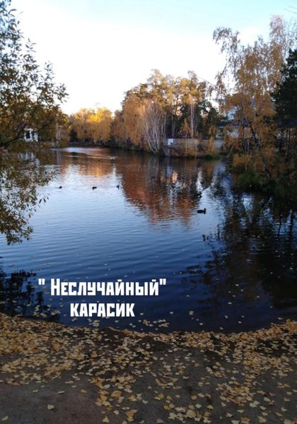 Обложка книги  ««Неслучайный» карасик»