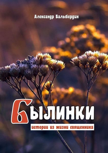 Обложка книги  «Былинки. Истории из жизни священника»