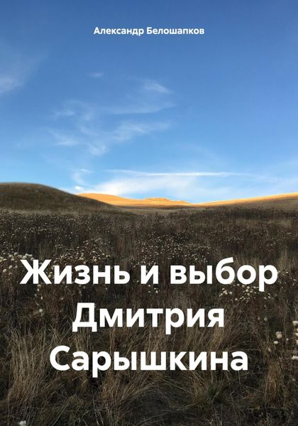 Обложка книги «Жизнь и выбор Дмитрия Сарышкина»