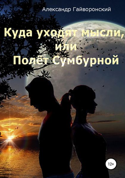 Обложка книги  «Куда уходят мысли, или Полет Сумбурной»