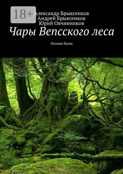 Обложка книги  «Чары Вепсского леса. Лесные были»