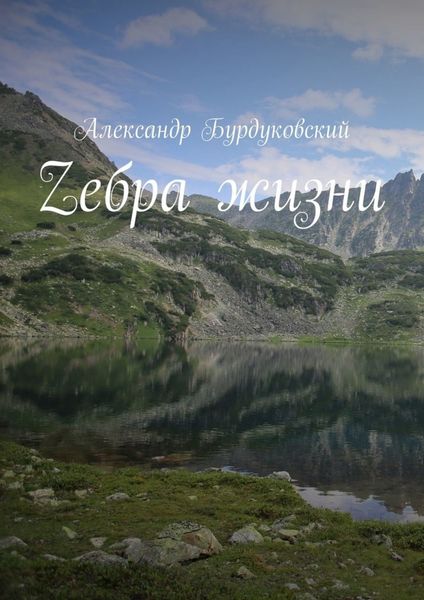 Обложка книги «Zебра жизни»