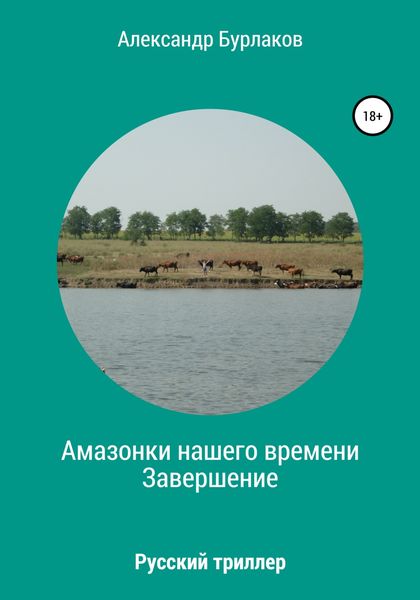 Обложка книги  «Амазонки нашего времени. Завершение»
