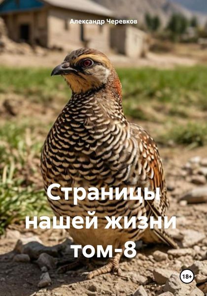 Обложка книги  «Страницы нашей жизни том-8»